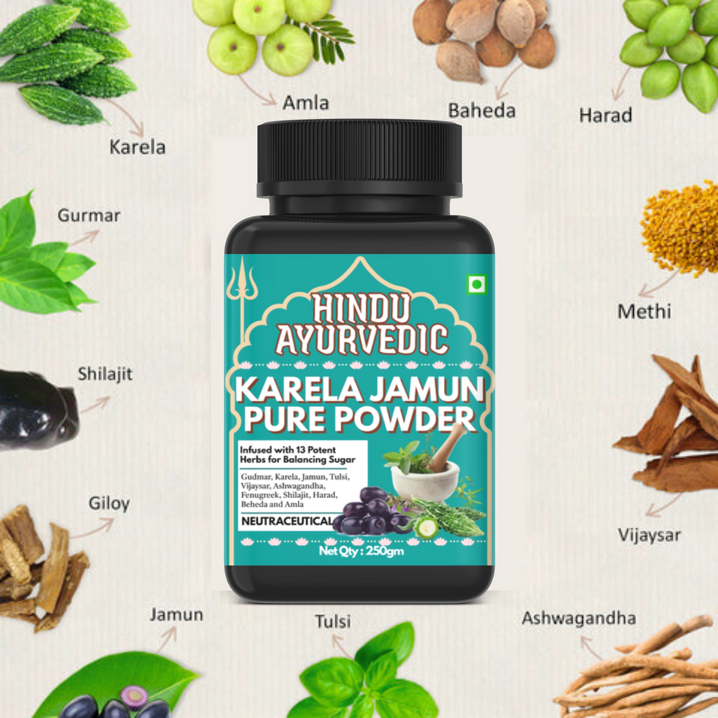 Karela Jamun Powder - 100% Natural Supplement for Managing Blood Sugar